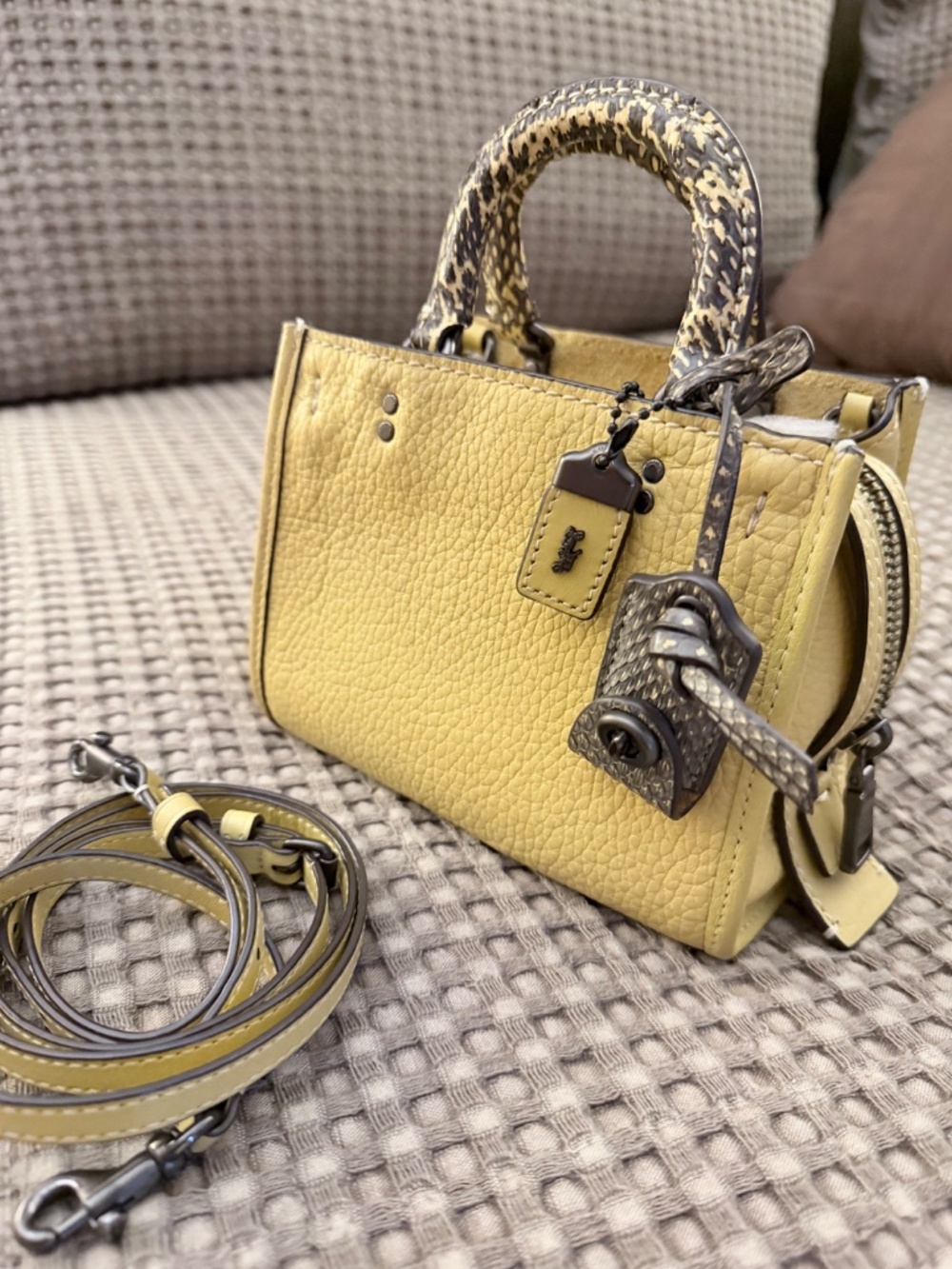 Authentic Coach 1941 Rogue 17 in Hay Yellow with Genuine Snakeskin Trim